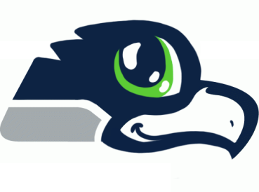 Seattle Seahawks Anime Logo iron on transfers